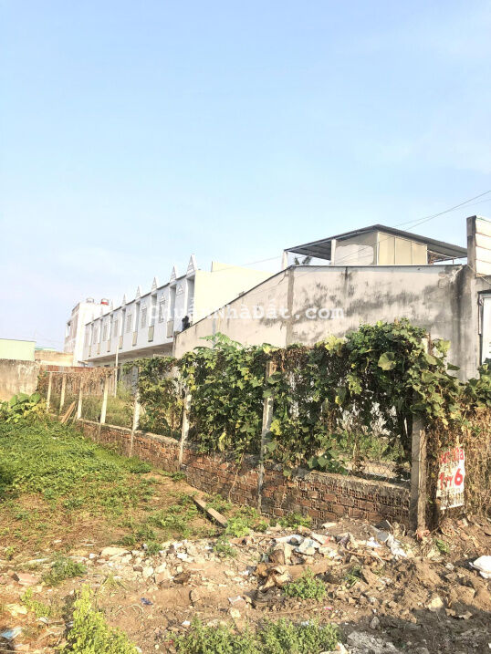 Đất đẹp thổ cư vuông vức 149m2 đường Lộ Long Phú, TT Cần Giuộc gần KDC Cần Giuộc giá 900tr