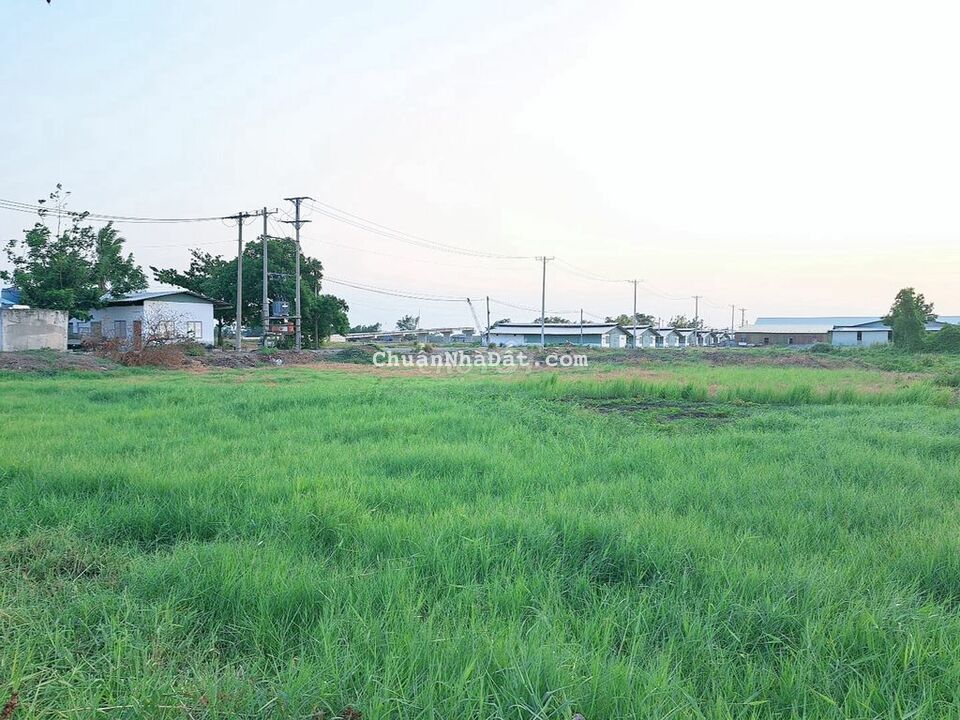 MẶT TIỀN ĐƯỜNG CHÍNH 4.5 TỶ NGAY CẦU CẦN GIUỘC MỚI MẶT TIỀN ĐƯỜNG CHÍNH 4.5 TỶ NGAY CẦU CẦN GIUỘC MỚI