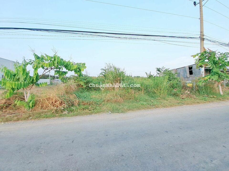 MẶT TIỀN ĐƯỜNG CHÍNH 4.5 TỶ NGAY CẦU CẦN GIUỘC MỚI MẶT TIỀN ĐƯỜNG CHÍNH 4.5 TỶ NGAY CẦU CẦN GIUỘC MỚI