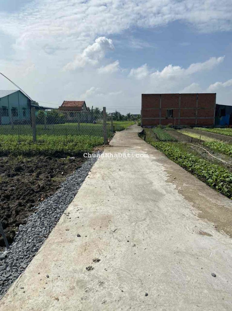 bán đất phuoc hậu cần giuộc long an