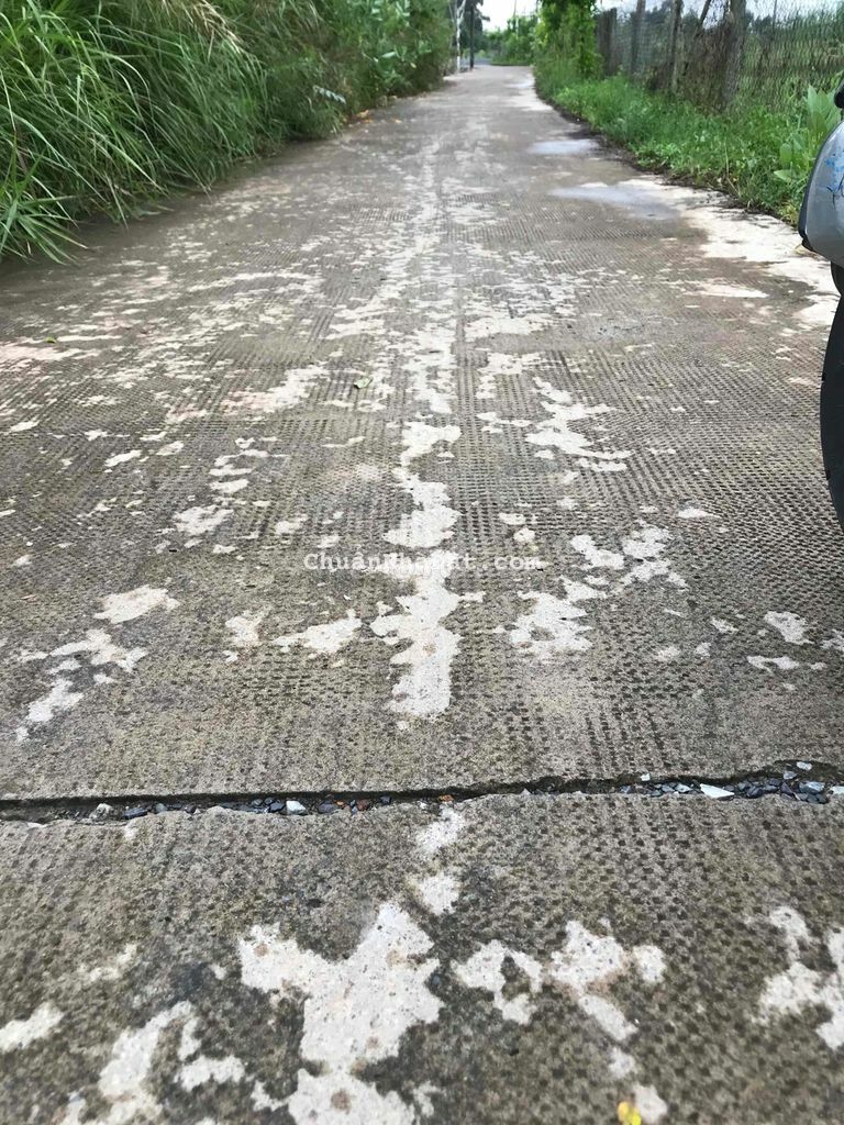 bán đất thổ và lúa mặt tiền đường mỹ lộc cần giuộc long an