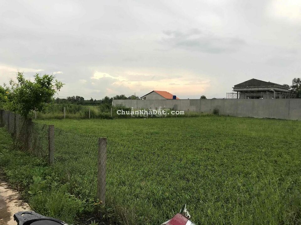 bán đất thổ và lúa mặt tiền đường mỹ lộc cần giuộc long an