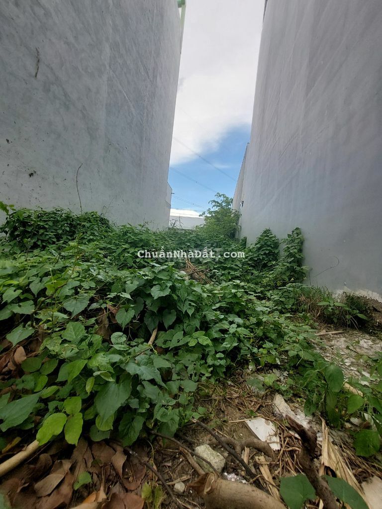 BÁN ĐẤT ( 4,3X16) KDC HOANG HOA LONG HẬU , CÁCH NHÀ BÈ 1KM. BÁN ĐẤT ( 4,3X16) KDC HOANG HOA LONG HẬU , CÁCH NHÀ BÈ 1KM.