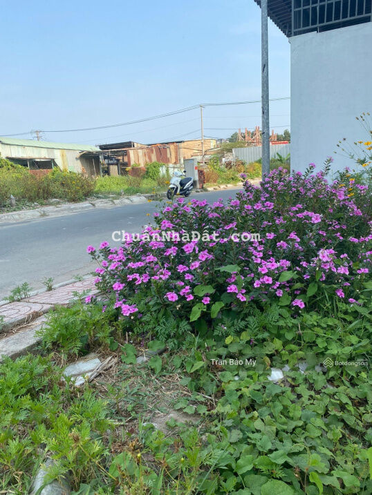 Chính chủ cần bán gấp đất đường Trí Yên, Tân Kim, gần KCN Tân Kim, bao test, SHR, 605tr/95m2, XDTD