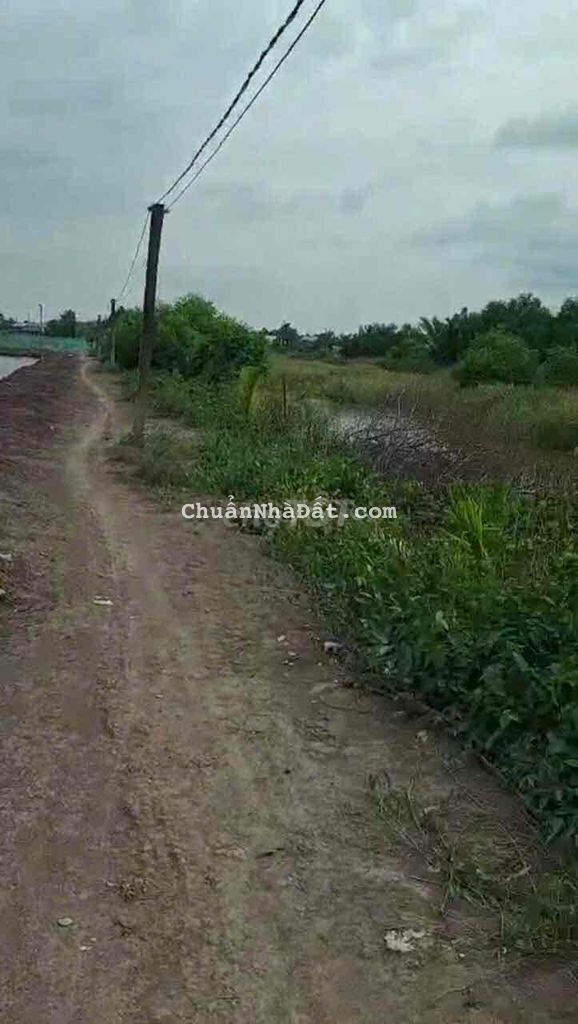 Bán đất An Thới Đông, Cần Giờ: 24 x 25, giá 670 triệu