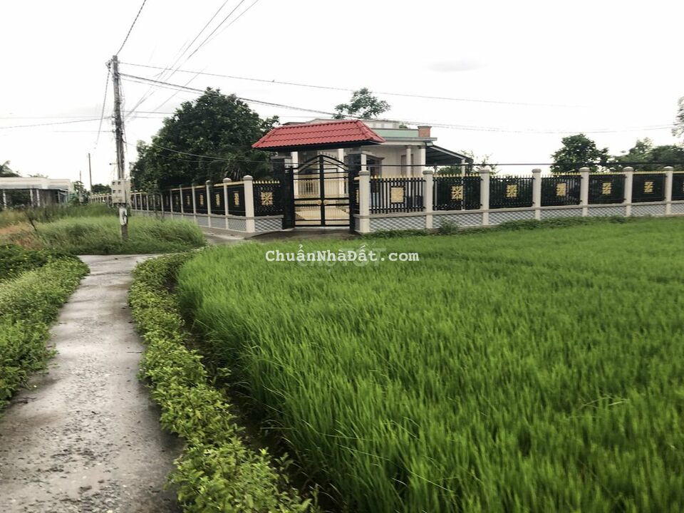 Chính chủ bán gấp 4 nền đất thổ cư giá F0