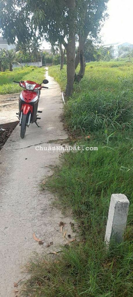 Đất thổ XÂY NHÀ TRỌ 10×30 giá 999 triệu Đất thổ XÂY NHÀ TRỌ 10×30 giá 999 triệu