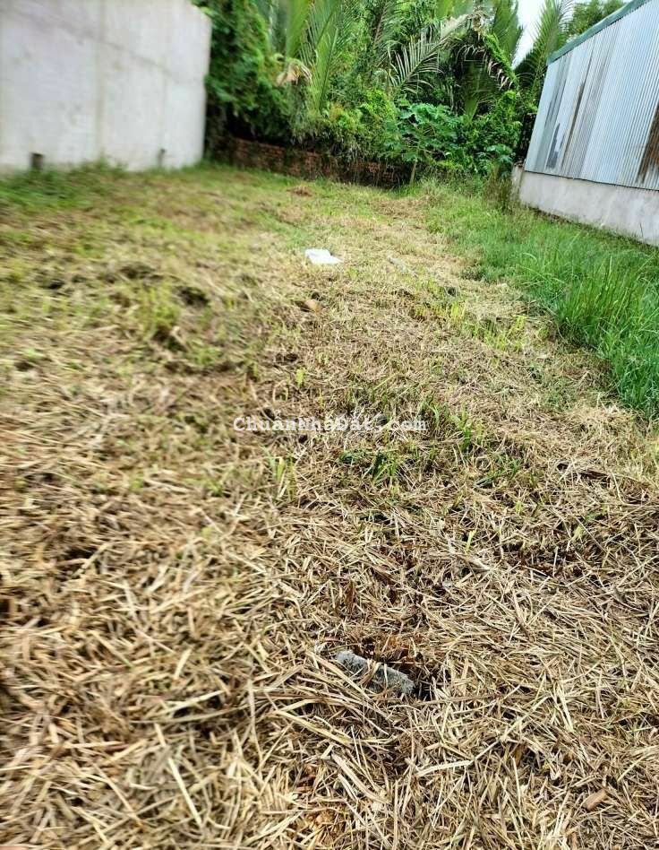 Hàng ngợp, 4.6x20m thổ cư, chốt 450tr