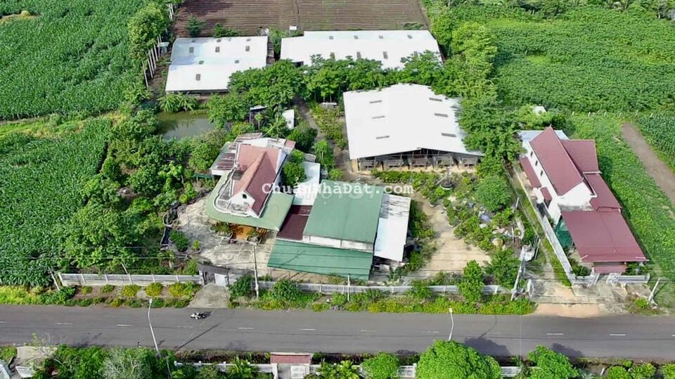 Bán Khu Nhà Đất 10.000m2(68x126m), Đường Nhựa 8m, Xuân Tây, Cẩm Mỹ, ĐN