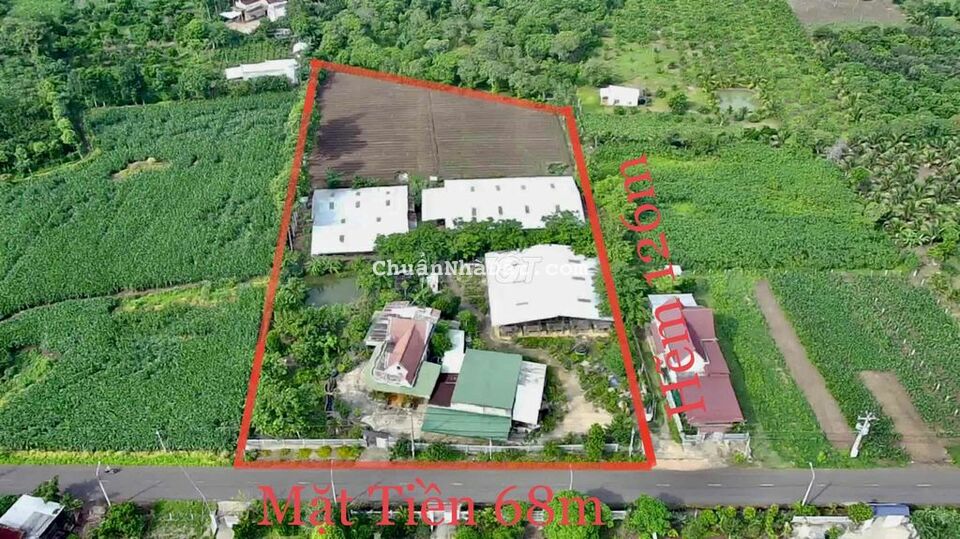 Bán Khu Nhà Đất 10.000m2(68x126m), Đường Nhựa 8m, Xuân Tây, Cẩm Mỹ, ĐN