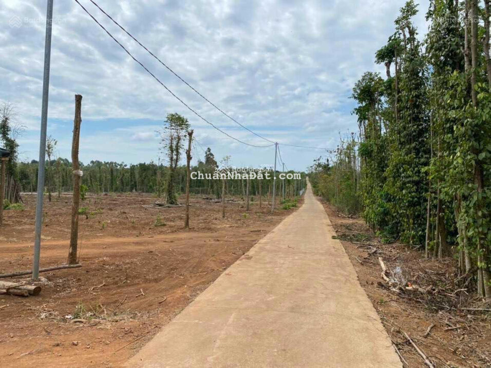 Đang kẹt 3 lô 1000m2 ngay Hồ Giao Thông, Lâm San, Cẩm Mỹ - Giá 1,050 khá rẻ