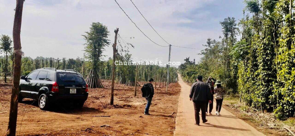 Bán lỗ lô đất đường 6m giá 1,050 tỷ chọn sổ 1000m2, điện nước có sẵn ở Cẩm Mỹ