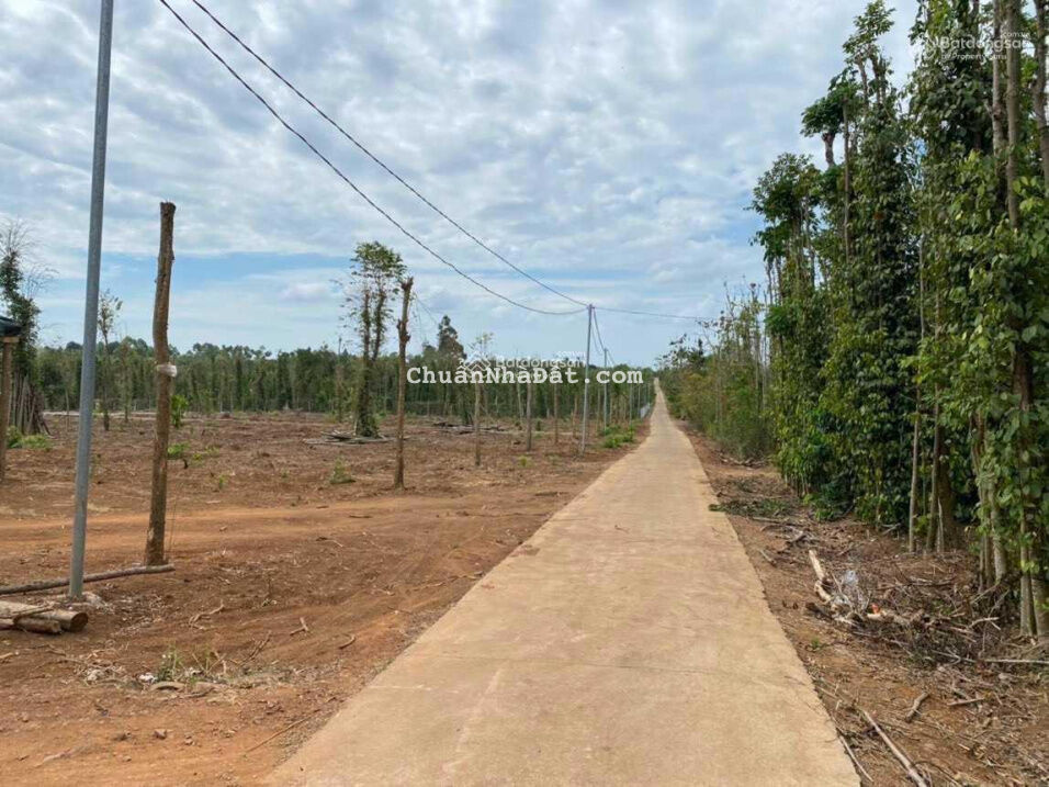 Bán lỗ lô đất đường 6m giá 1,050 tỷ chọn sổ 1000m2, điện nước có sẵn ở Cẩm Mỹ