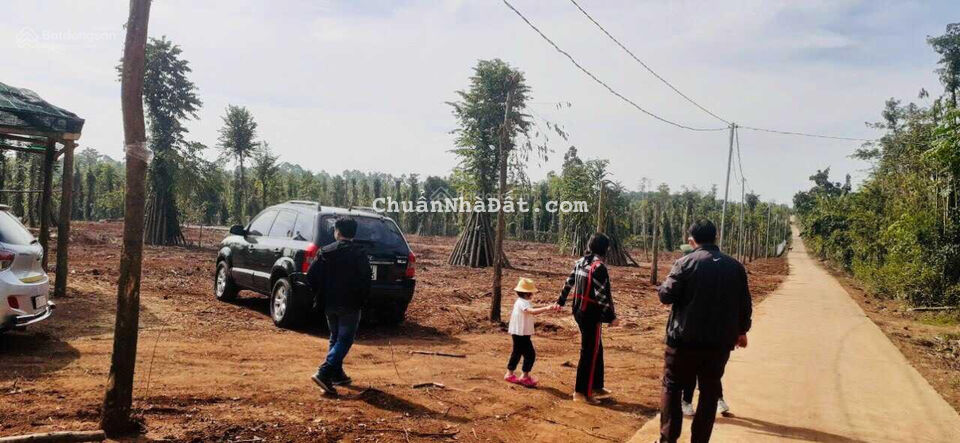 Bán lỗ lô đất đường 6m giá 1,050 tỷ chọn sổ 1000m2, điện nước có sẵn ở Cẩm Mỹ