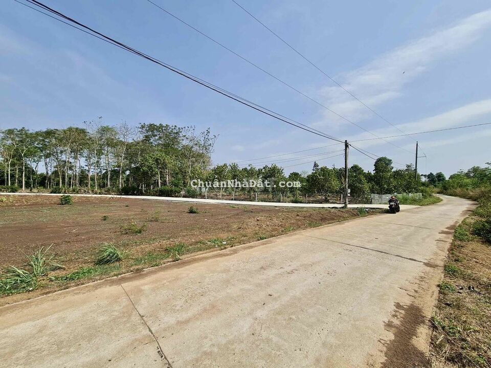 BÁN ĐẤT NGỘP 1000m2(19x60m), FULL HỒNG, đường Liên Ấp Bảo Bình, Cẩm Mỹ