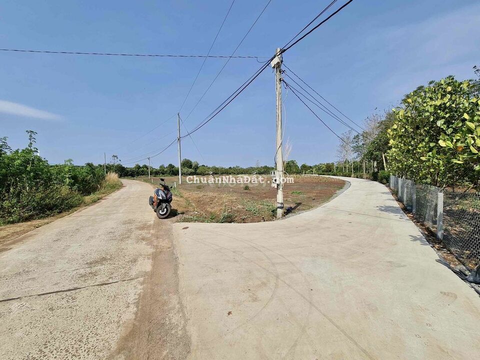 BÁN ĐẤT NGỘP 1000m2(19x60m), FULL HỒNG, đường Liên Ấp Bảo Bình, Cẩm Mỹ