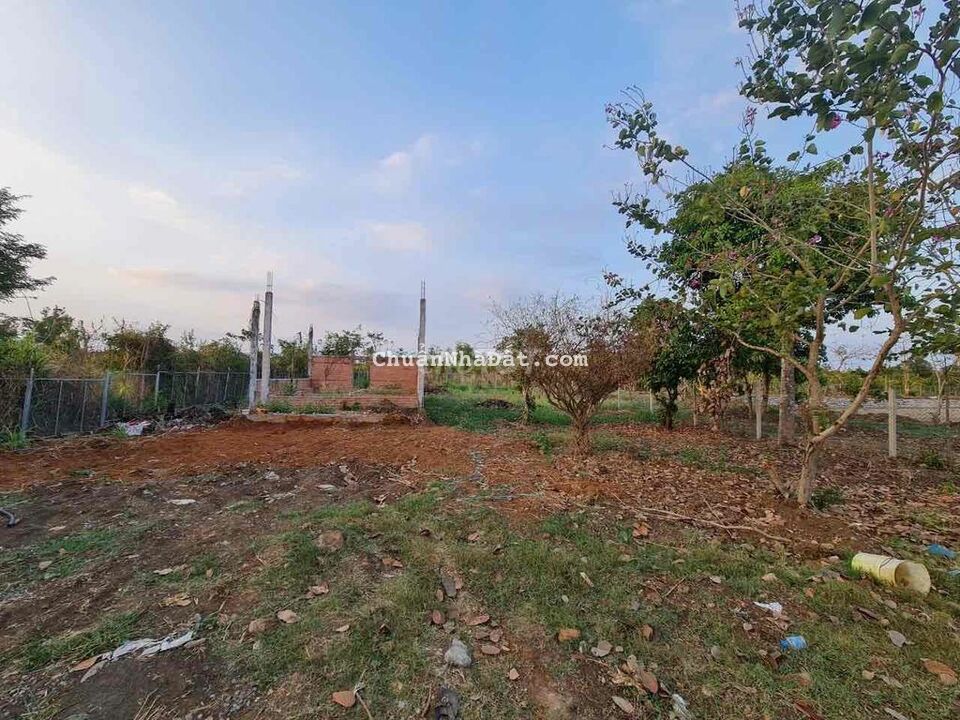 Bán Đất 2 Mặt Tiền 20x50m.Đường 5m.Xuân Tây.Cẩm Mỹ