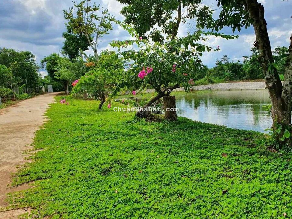 Bán Đất 2 Mặt Tiền 20x50m.Đường 5m.Xuân Tây.Cẩm Mỹ