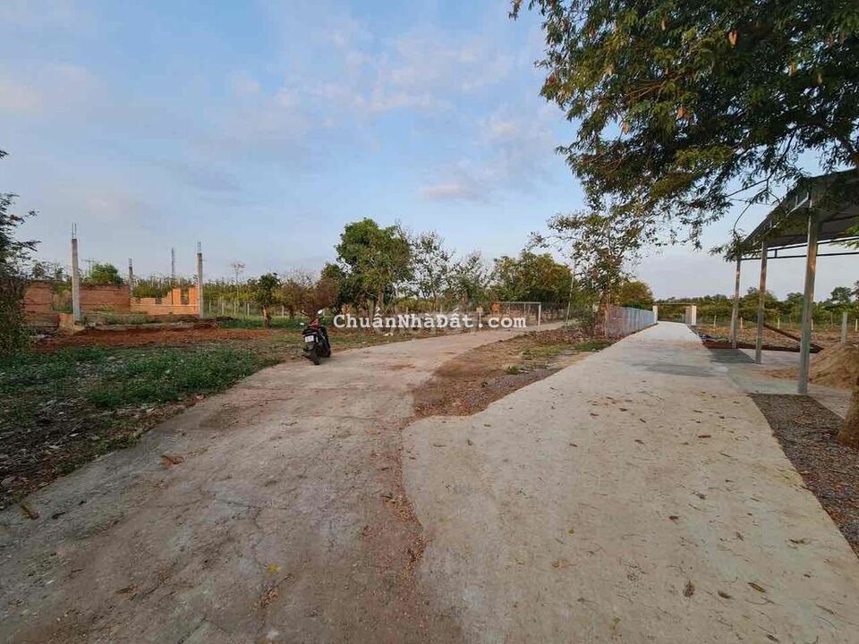 Bán Đất 2 Mặt Tiền 20x50m.Đường 5m.Xuân Tây.Cẩm Mỹ