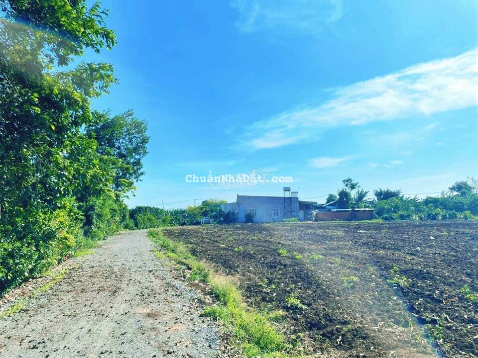 Bán 1000m2 mặt tiền đường nhựa ngay KDC. Kẹt tiền giảm mạnh chỉ 1,2ty