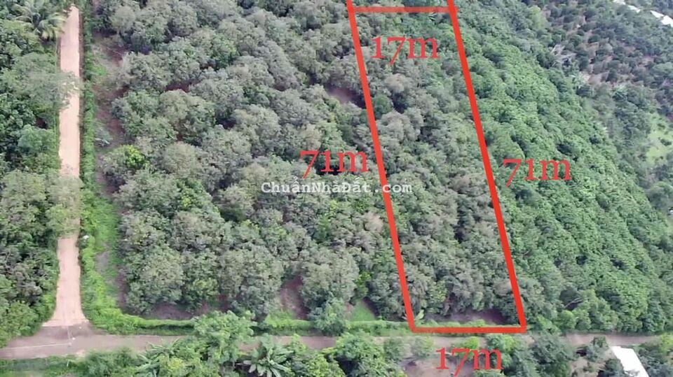 BÁN VƯỜN TRÁI CÂY 1208m2(17x71m), Xuân Tây, Cẩm Mỹ, ĐN