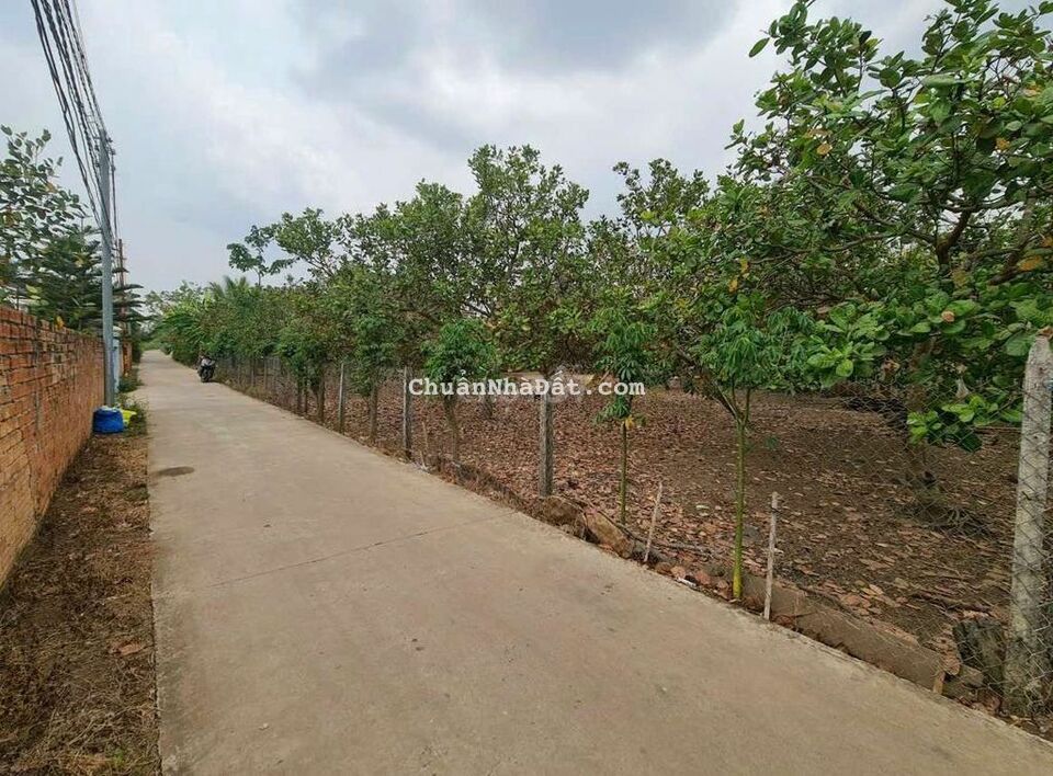 ĐẤT NỀN XUÂN ĐÔNG GẦN NGÃ TƯ SÔNG RAY,DT 135M2 GIÁ 580TR ĐẤT NỀN XUÂN ĐÔNG GẦN NGÃ TƯ SÔNG RAY,DT 135M2 GIÁ 580TR