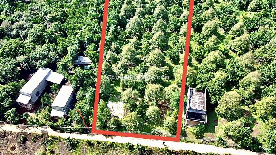 Bán Vườn Sầu Riêng 2493m2. Có 100m2 thổ tại Xuân Bảo.Cẩm Mỹ. Đồng Nai