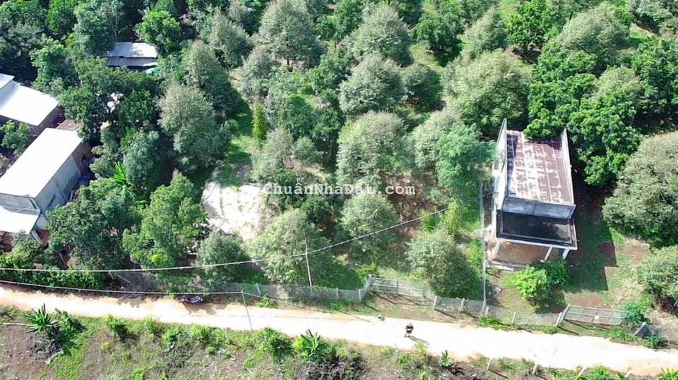 Bán Vườn Sầu Riêng 2493m2. Có 100m2 thổ tại Xuân Bảo.Cẩm Mỹ. Đồng Nai