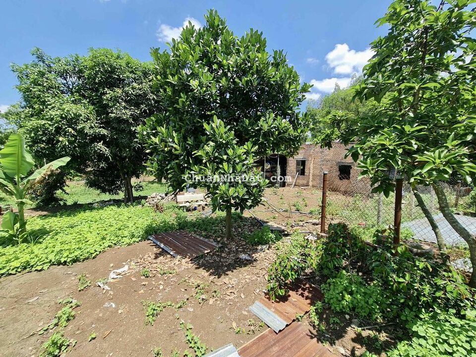 Đất Trái Cây View Suối, 2506m2(48x40m) có 300m2 thổ, Sông Ray, Cẩm Mỹ