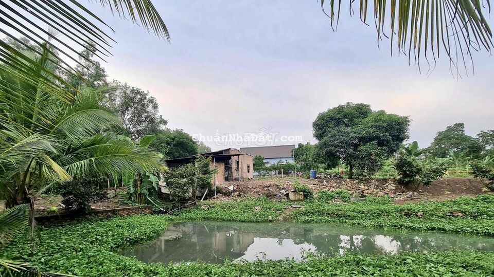 Đất Trái Cây View Suối, 2506m2(48x40m) có 300m2 thổ, Sông Ray, Cẩm Mỹ