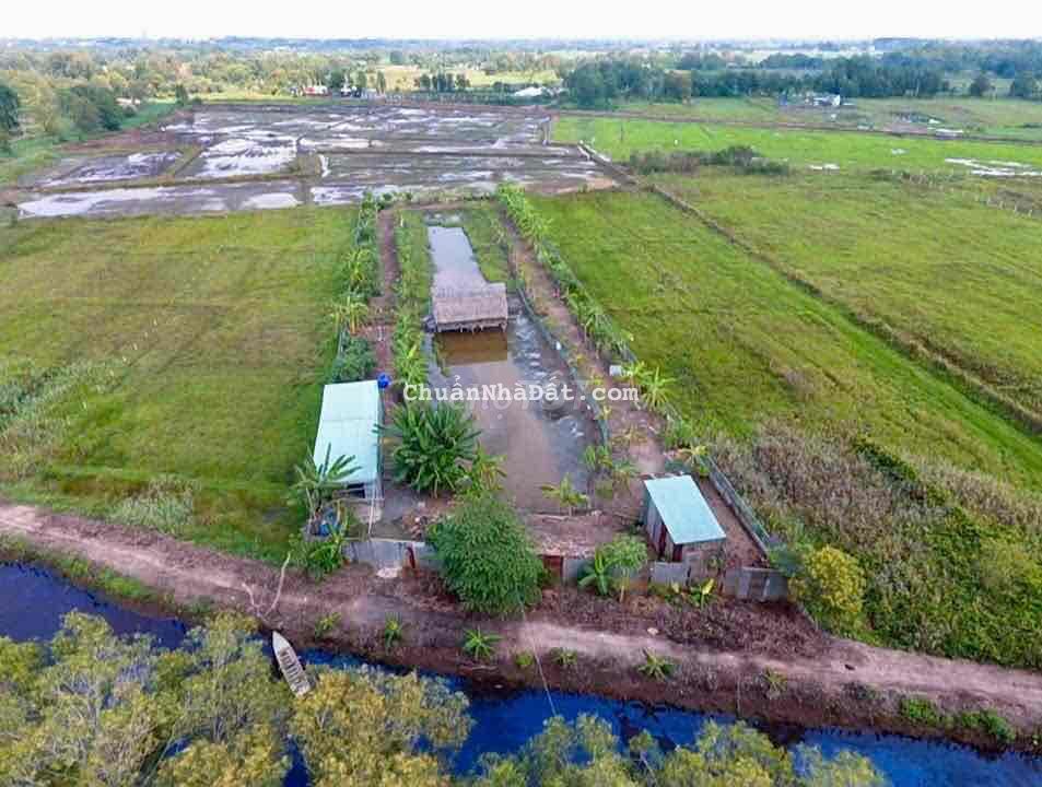 Đất vườn ngộp(10x100),Tân Thạnh Tây,Củ Chi