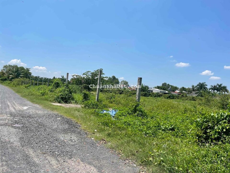 Đất 1000.0m2 Có 300m2 Thổ Giá Rẽ Bình Mỹ Củ Chi Đất 1000.0m2 Có 300m2 Thổ Giá Rẽ Bình Mỹ Củ Chi