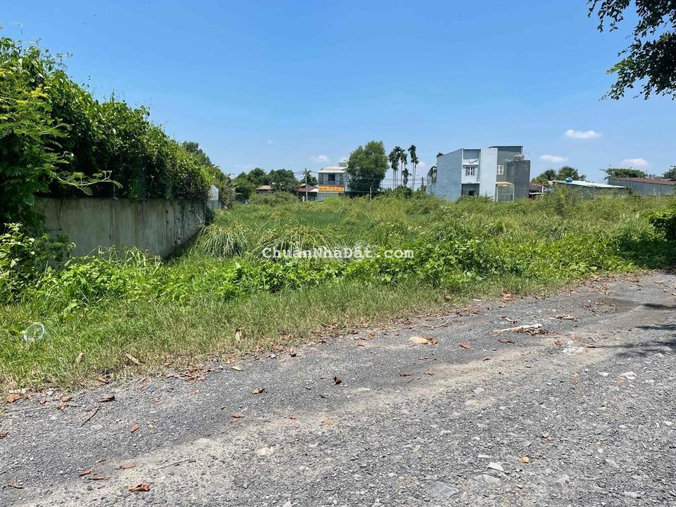 Đất 1000.0m2 Có 300m2 Thổ Giá Rẽ Bình Mỹ Củ Chi Đất 1000.0m2 Có 300m2 Thổ Giá Rẽ Bình Mỹ Củ Chi