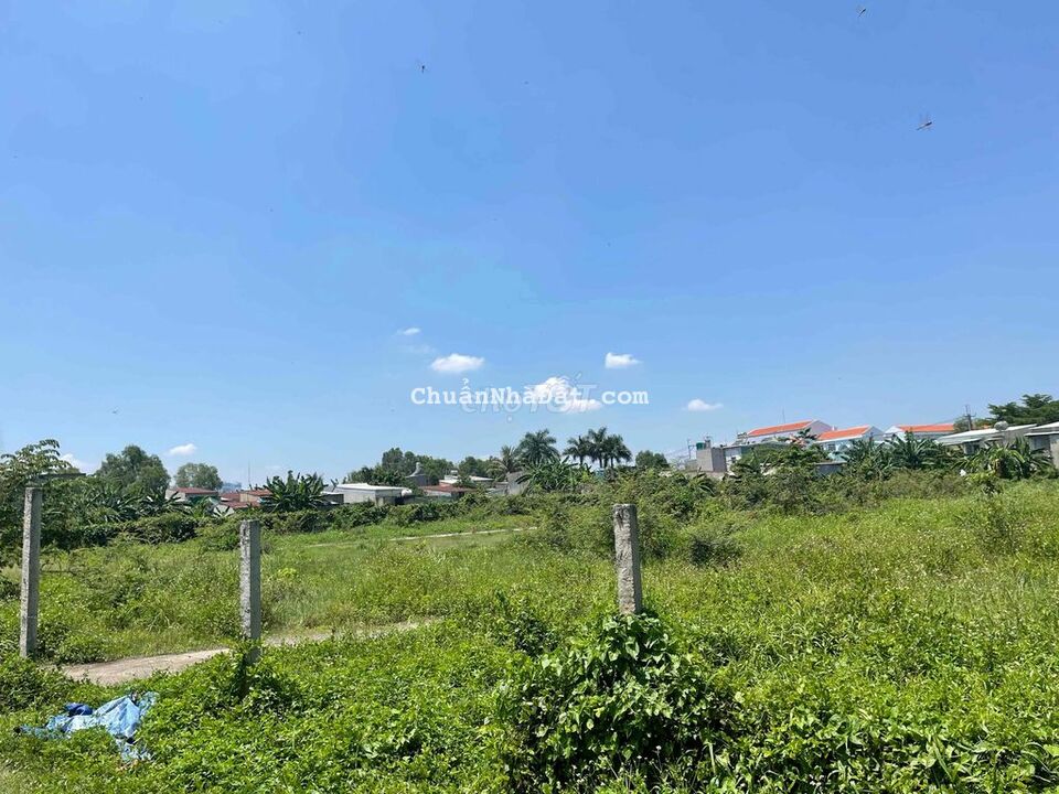 Đất 1000.0m2 Có 300m2 Thổ Giá Rẽ Bình Mỹ Củ Chi Đất 1000.0m2 Có 300m2 Thổ Giá Rẽ Bình Mỹ Củ Chi