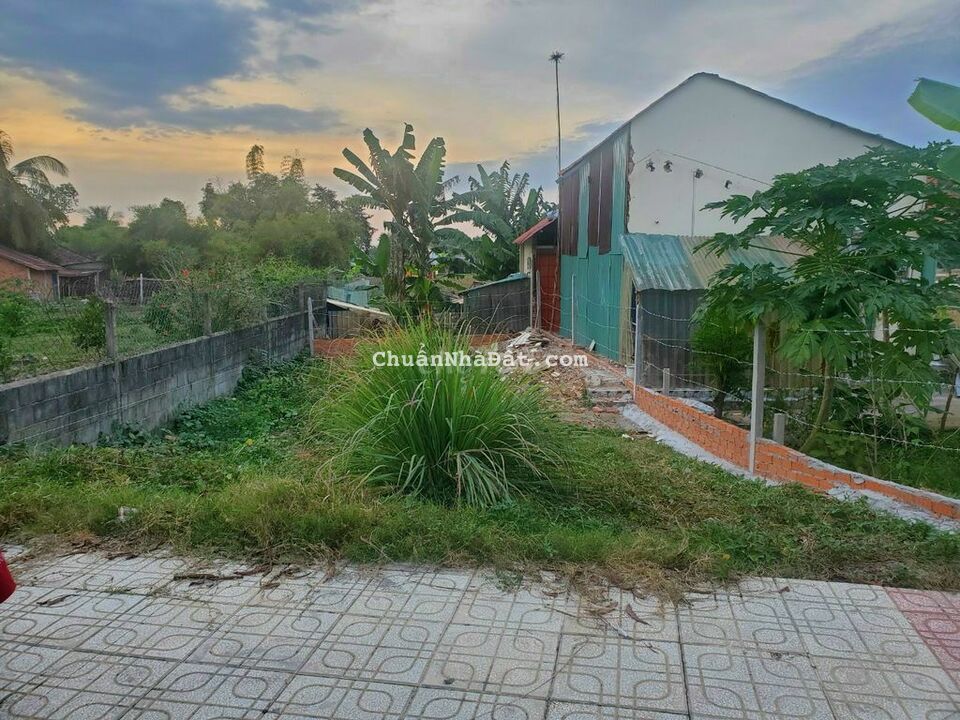 Giảm 700 triệu bán 100m2 đất gần trường THPT Tân Thông Hội SHR Giảm 700 triệu bán 100m2 đất gần trường THPT Tân Thông Hội SHR