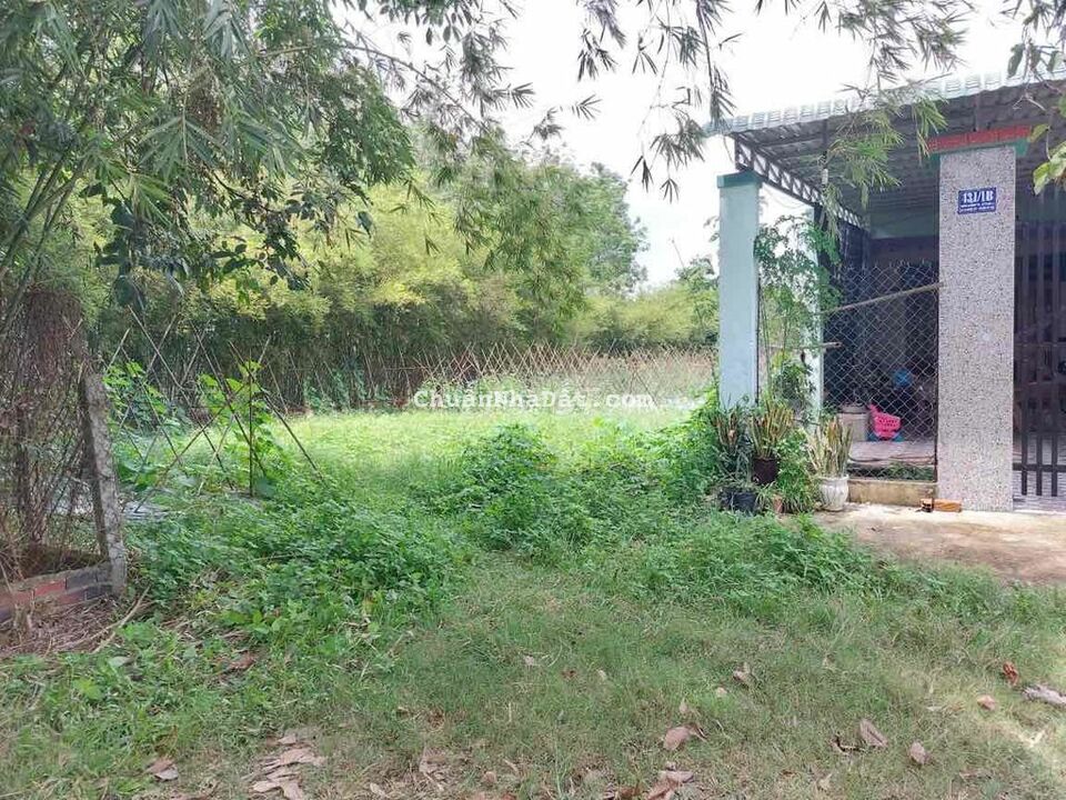 1039m2 thổ cư 100%, cách nhựa đúng 80m 1039m2 thổ cư 100%, cách nhựa đúng 80m