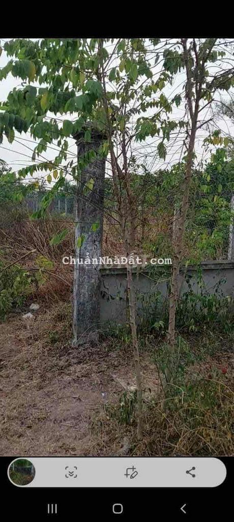 90m2 đất SHR mặt tiền nguyễn kim cương,gần hocmon 90m2 đất SHR mặt tiền nguyễn kim cương,gần hocmon