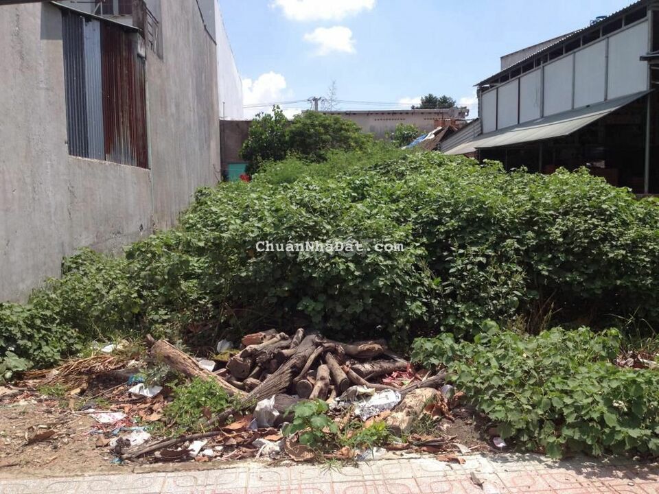 Cắt lỗ 900 triệu bán gấp lô đất T.T Củ Chi DT:110m2 SHR Giá :990 triệu