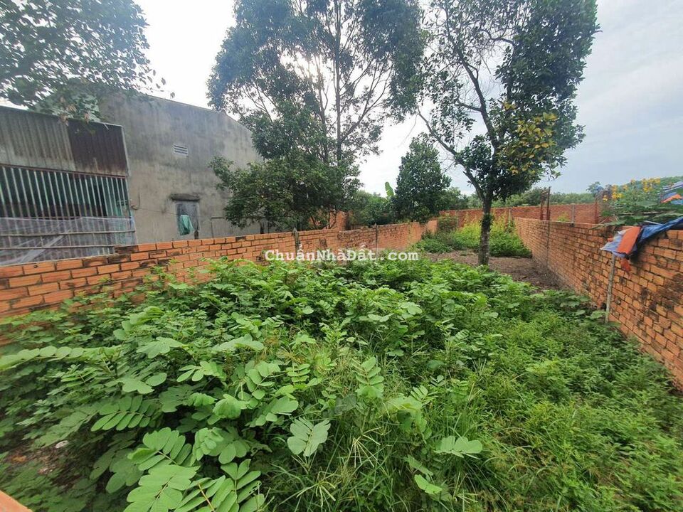 Chính chủ Bán lỗ lô đất SHR 5m x 23m. Hẻm 5m Đường Nguyễn Kim Cương