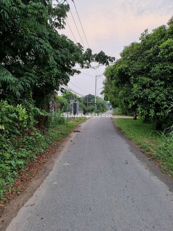 Chính Chủ Bán Gấp Lô Đất Vườn-1200m2-SHR- Giá 1Tỷ3 Chính Chủ Bán Gấp Lô Đất Vườn-1200m2-SHR- Giá 1Tỷ3