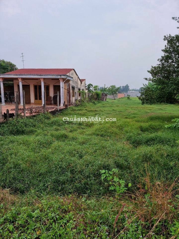 Chính Chủ Bán Gấp Lô Đất Vườn-1200m2-SHR- Giá 1Tỷ3 Chính Chủ Bán Gấp Lô Đất Vườn-1200m2-SHR- Giá 1Tỷ3