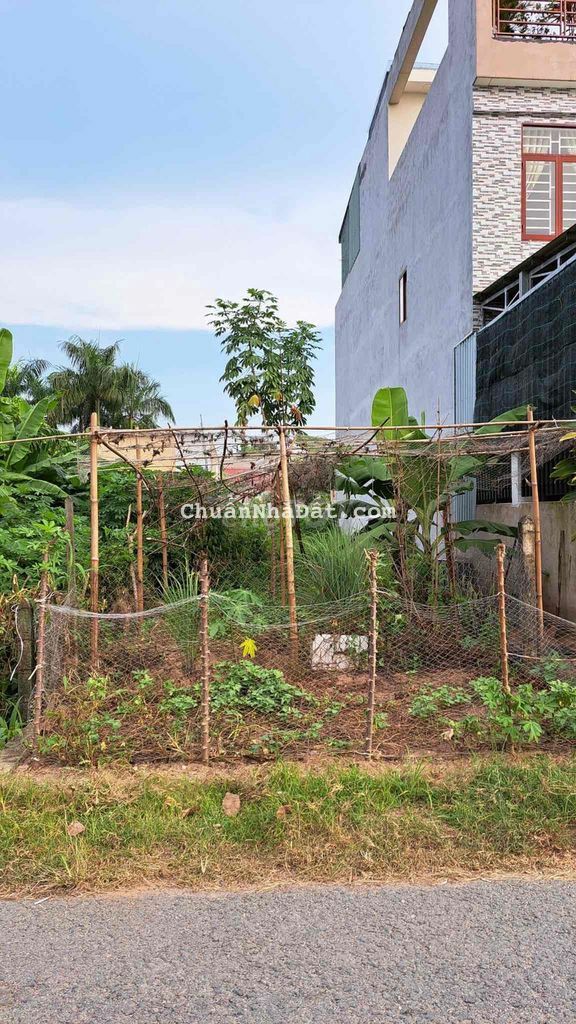 124m2 đất thổ cư mặt tiền mai thị buội,tặng GPXD