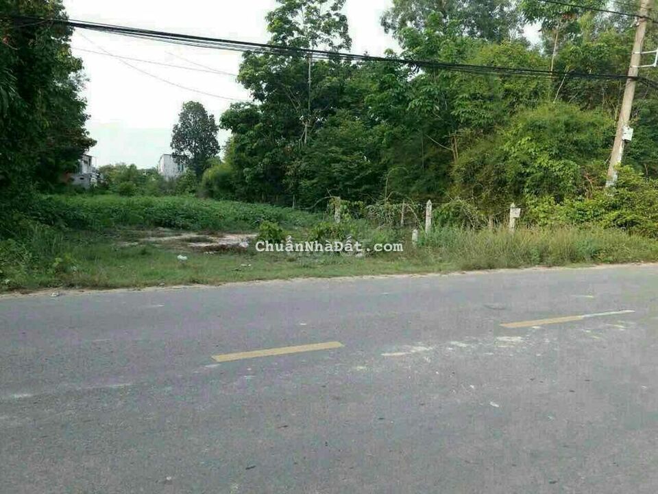 Mặt tiền Sông Lu(17x76),thổ cư 800m,Hoà Phú,Củ Chi