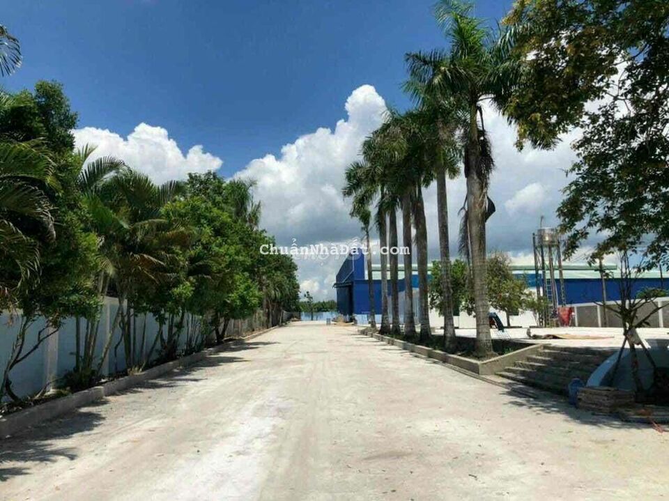 BÁN XƯỞNG 1,5hecta XÃ PHÚ MỸ HƯNG CỦ CHI GIÁ 55ty BÁN XƯỞNG 1,5hecta XÃ PHÚ MỸ HƯNG CỦ CHI GIÁ 55ty