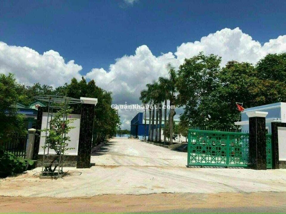 BÁN XƯỞNG 1,5hecta XÃ PHÚ MỸ HƯNG CỦ CHI GIÁ 55ty BÁN XƯỞNG 1,5hecta XÃ PHÚ MỸ HƯNG CỦ CHI GIÁ 55ty