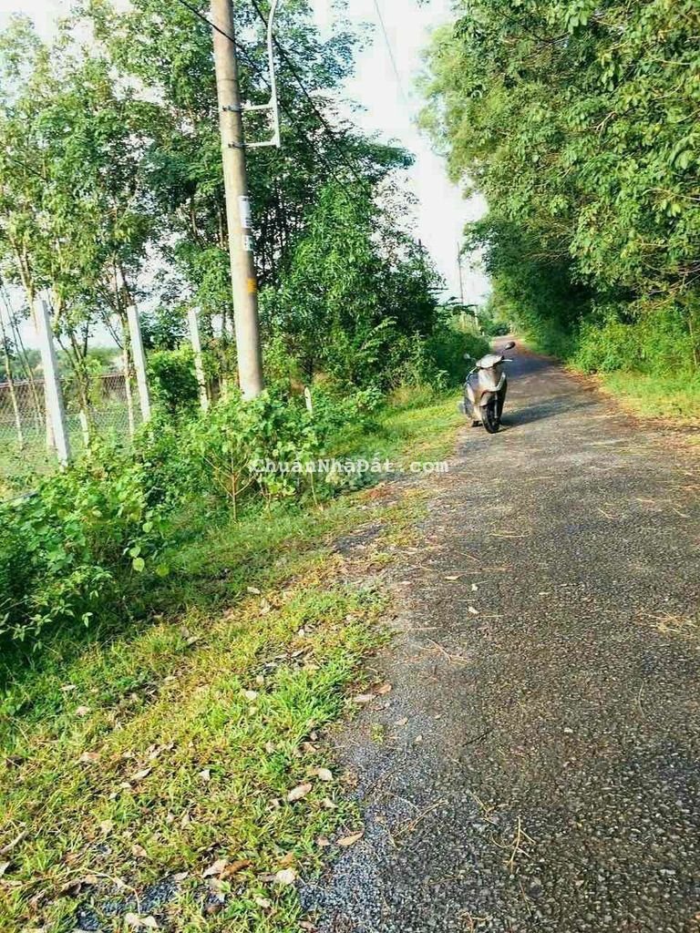 Hàng thơm Phú Mỹ Hưng Củ Chi. giá siêu mềm