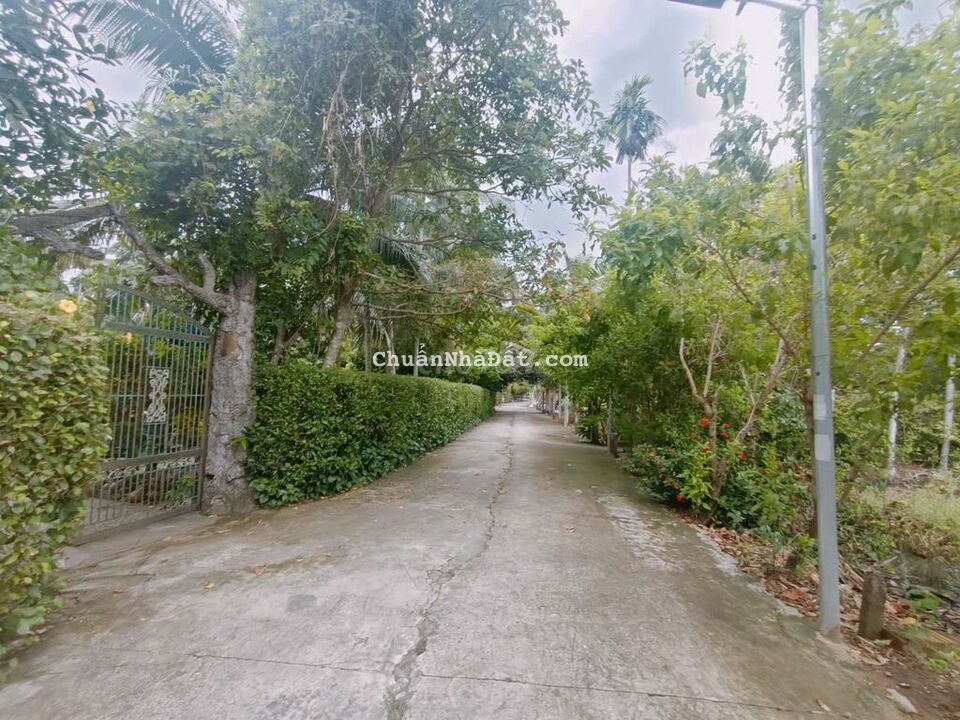 Đất thổ cư đường Bình Mỹ vao 150m, DT 153m2 ( 7,5m x 20m) Đất thổ cư đường Bình Mỹ vao 150m, DT 153m2 ( 7,5m x 20m)