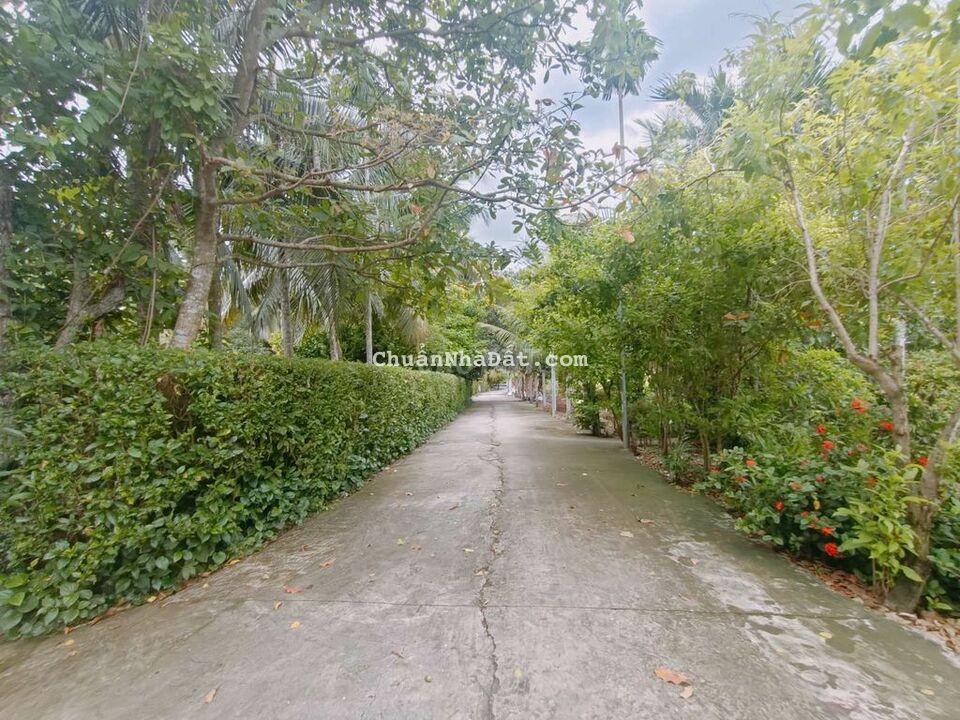 Đất thổ cư đường Bình Mỹ vao 150m, DT 153m2 ( 7,5m x 20m) Đất thổ cư đường Bình Mỹ vao 150m, DT 153m2 ( 7,5m x 20m)