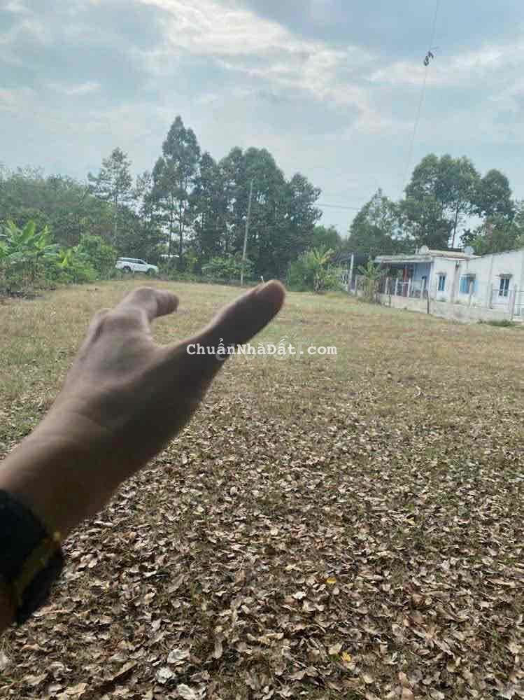 Bán lô đất MT Phạm Thị Liền, Thái Mỹ, Củ Chi: 25 x 66, giá 6,99 tỷ