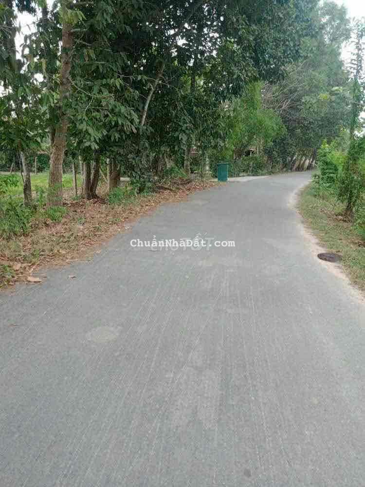 Bán lô đất MT Phạm Thị Liền, Thái Mỹ, Củ Chi: 25 x 66, giá 6,99 tỷ